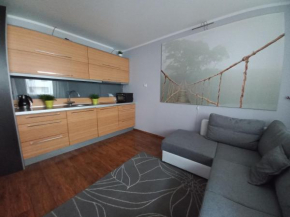 Apartament Witawa